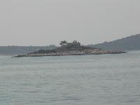 dscn0214.jpg