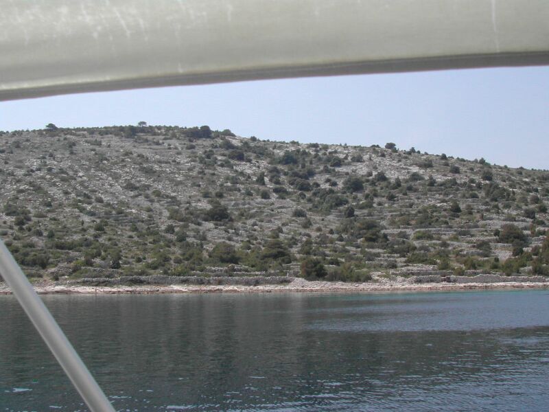 dscn0209.jpg