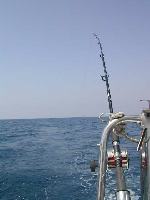 dscn0171.jpg